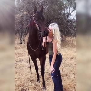 Meet your Posher, Taylor